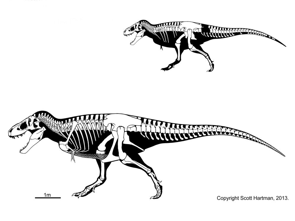 T-Rex Hammer And Carpenters Plane. Daddy Jessie before the gestation of the bomb and duplicate of God's universe.